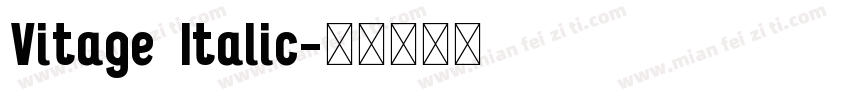 Vitage Italic字体转换